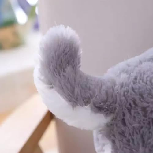 Storio Toy Super Cute Plushie Soft Toys for Kids | Plush Soft Toys for Baby Boys and Girls Kids - Husky Dog | Best Valentine Gift