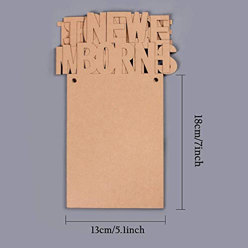 Storio 1-12 Month Photo Frame Banner - Paper Banner For First Birthday|Baby Photo Frame 0 To 12 Months|Newborn Photo Banner For First Year Celebration (Cardstock), Multi