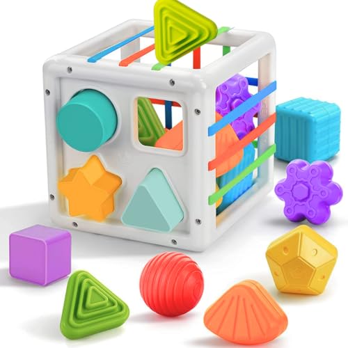 Storio Baby Montessori Toys for Kids Sensory Toys Cubes & Shapes Sorter Blocks Colorful Textured Balls Sorting Games