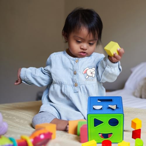 Storio Premium Shape Sorter Cube | Learning & Educational Shape Sorter Toys for Kids Activity | Recognition Game | Sorting & Stacking Toys for Toddlers and Preschoolers | Baby Gift for Toddlers