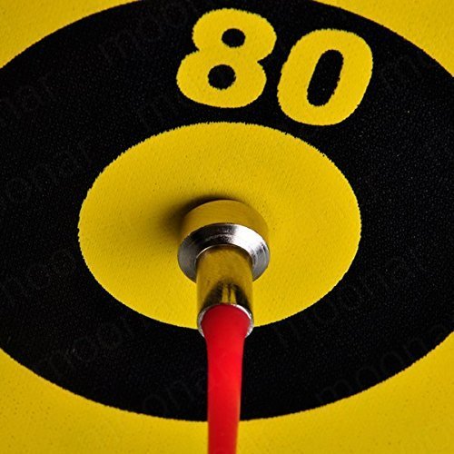 Storio Double Sided Magnet Dart Board with Darts for Kid (12 Inches)