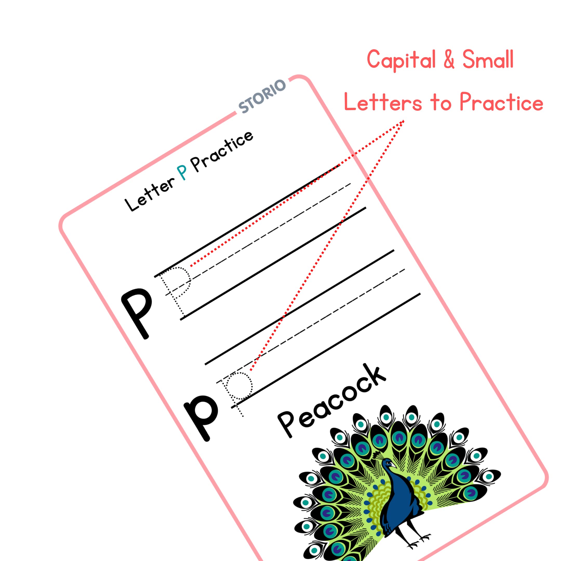 Storio Flash Cards for Kids Early Learning | Easy & Fun Way of Learning 1 Year to 6 Years Babies (ABC Alphabets)